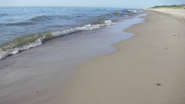 звуки природы Куршская Коса_10.06.2018