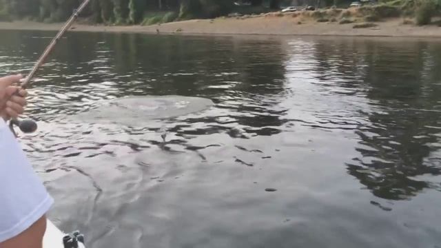ОСЕТР РЫБАЛКА КАК ЛУЧШЕ ЛОВИТЬ