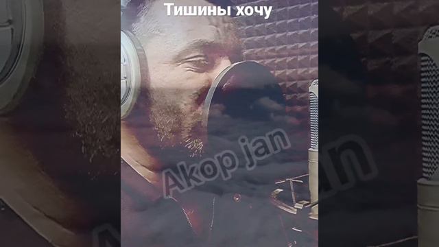 Тишины хочу! Исполнитель Akop jan кавер !