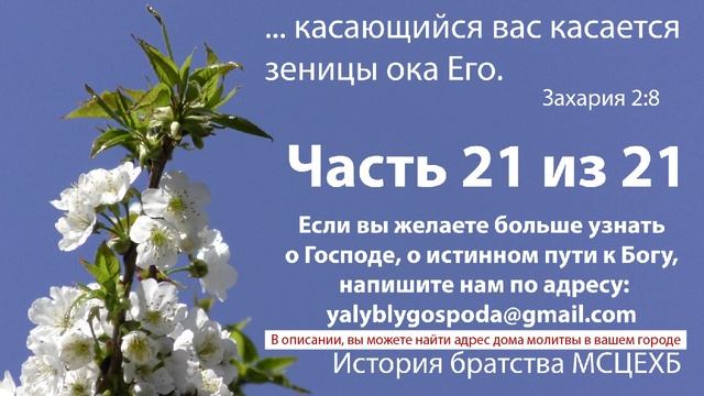 21 часть. История братства МСЦ ЕХБ