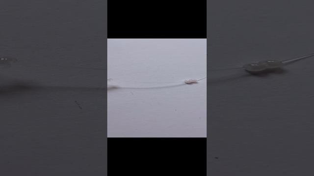 //бисер 9 часть//