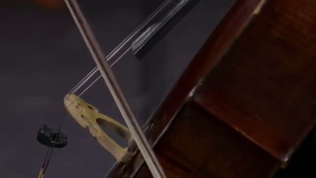 R. Schumann - Fantasiestücke Op.73 (Boris Andrianov cello - Vitaly Egorov piano)