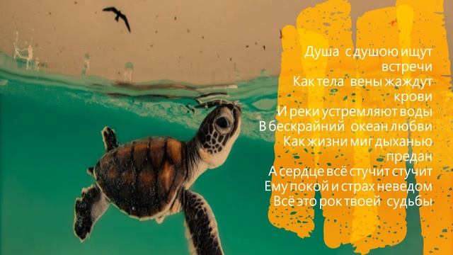 Как тела вены жаждут крови