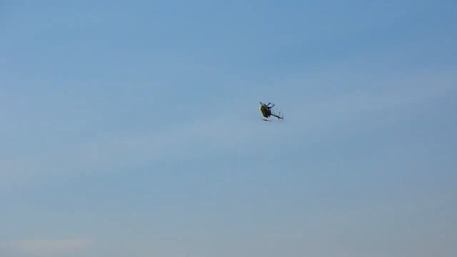 Kamenka, flying RC helicopters T Rex500 T Rex550 p51