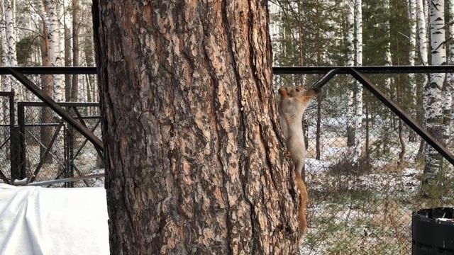 Сегодня первыми пришли девочки. ✍