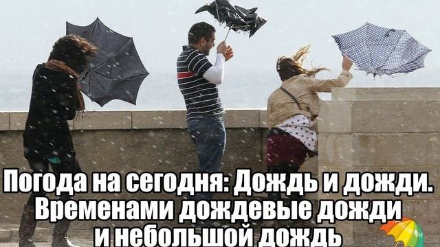 Осенний дождь - искупались, постирались...   101