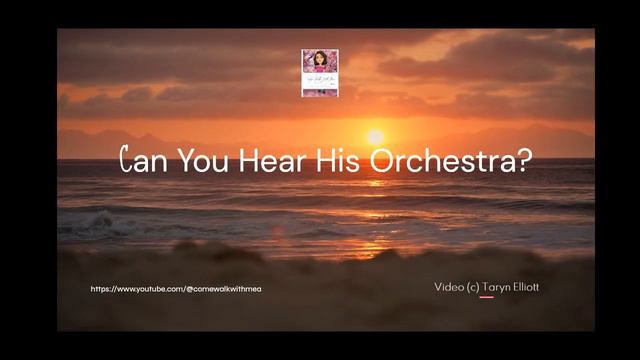 Nature the perfect symphony - Can you hear His orchestration?