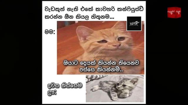 Bukiye Rasa Katha | Funny Fb Memes Sinhala | 2022 - 09 - 16 [ i ]