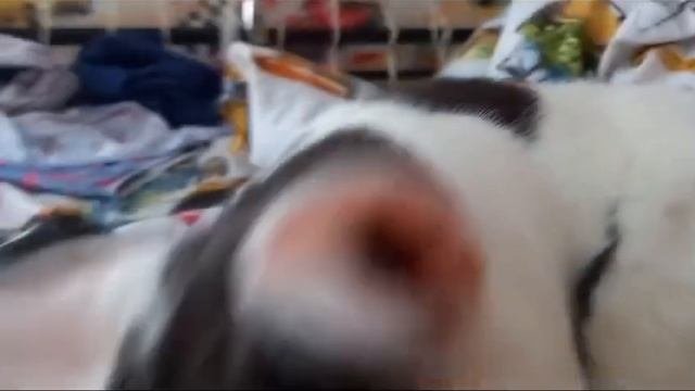 Ненадо было её трогать