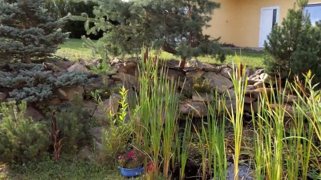 Samsung Galaxy Tab S6: camera demo (4K, 30 FPS)