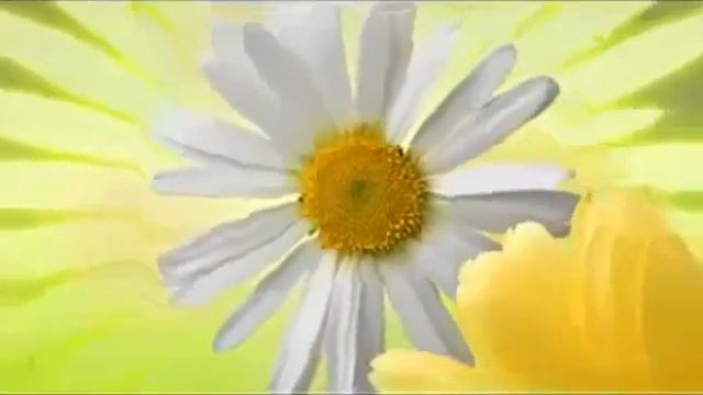 винтовые сваи купить в москве