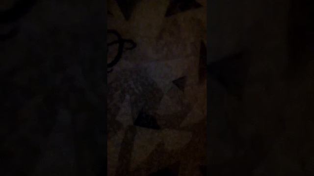 Гномик исполняет желания . круто!!!!!!!!!