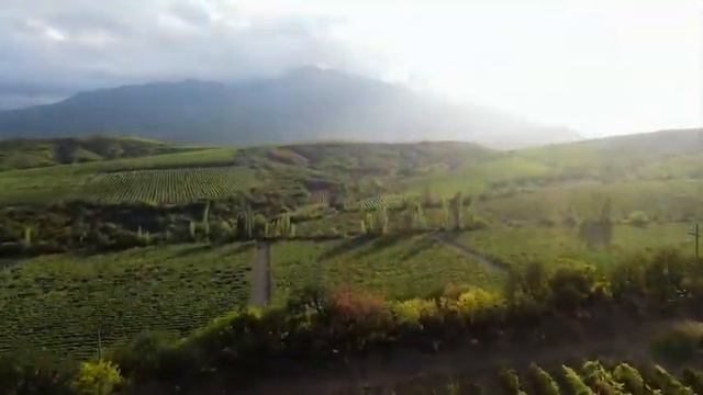 Проморолик Крымские Дачи (2021г)