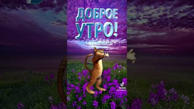 VID-20230811-WA0000.mp4