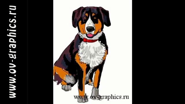 Как нарисовать собаку в Фотошопе