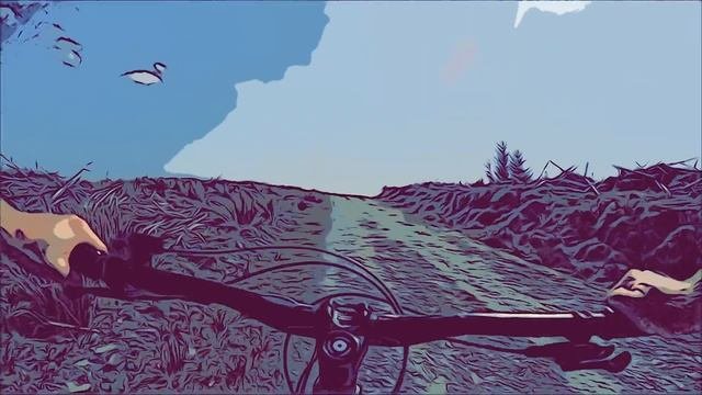 Dyfi Forest | The Mach 3 Edition | North Wales Epic Day 3