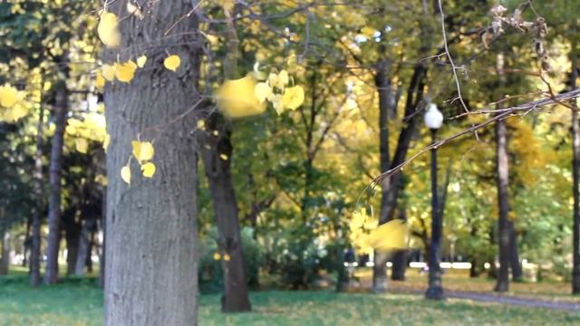 Просто осенние мерзости