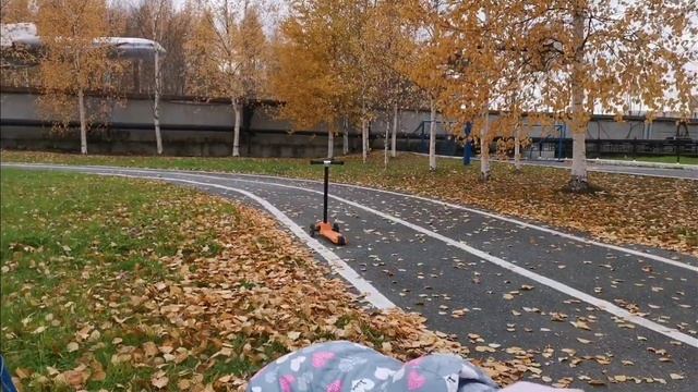 Осень, листолёт и "скучная картина"