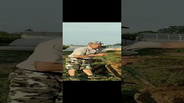 про отдых на даче ???