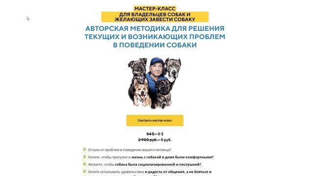 Собака гадит на свою лежанку