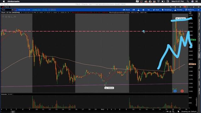 TSLA Stock Crushes Earnings | Now What?