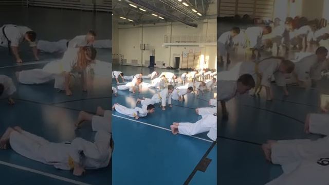 экзамены на киокушинкай каратэ