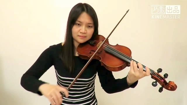 Sia - Angel By The Wings(Violin Cover)