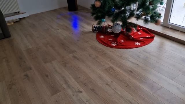 Влог 462 Мой день рождения/день после/весёлое утро/из Германии в Калининград/Россия