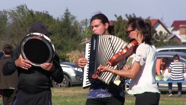 БАРАНЫ ПОБЕДИТЕЛЯМ: ДНИ СЁЛ ПОД МАРИУПОЛЕМ