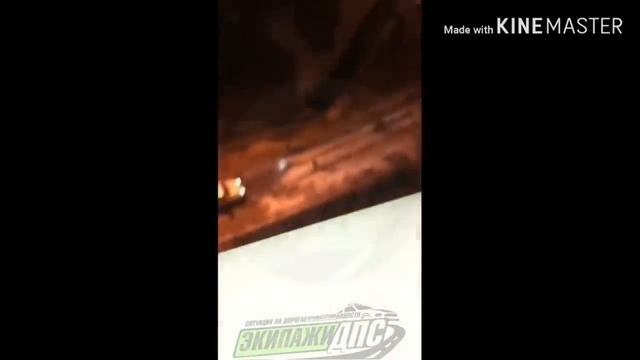 погоня за приусом