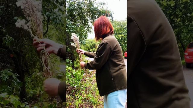 Букет в корзине из того, что растет под ногами