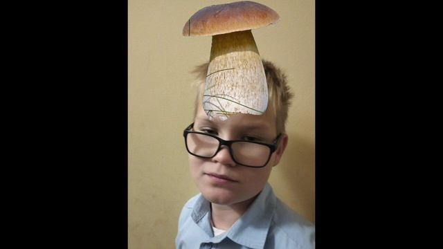 Теперь за грибы!
