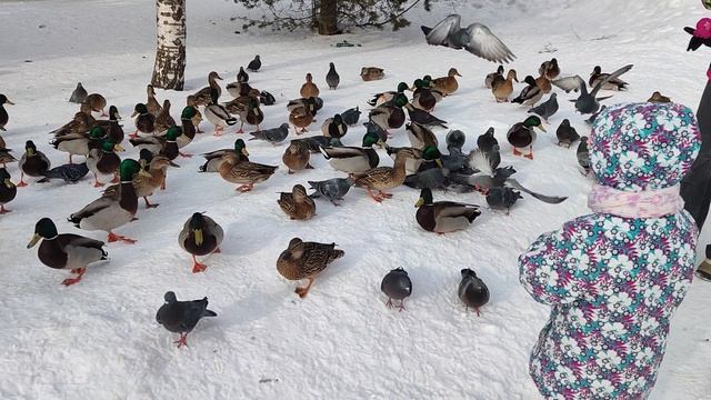Прогулка...