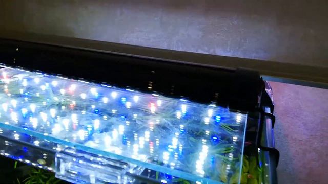 МОЯ  ЧЕТКАЯ 60-КА 👍🤟🐠🐟🐡🌿😜