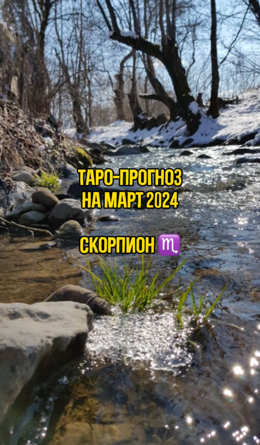 Таро - прогноз на Март 2024 - знак Скорпион
