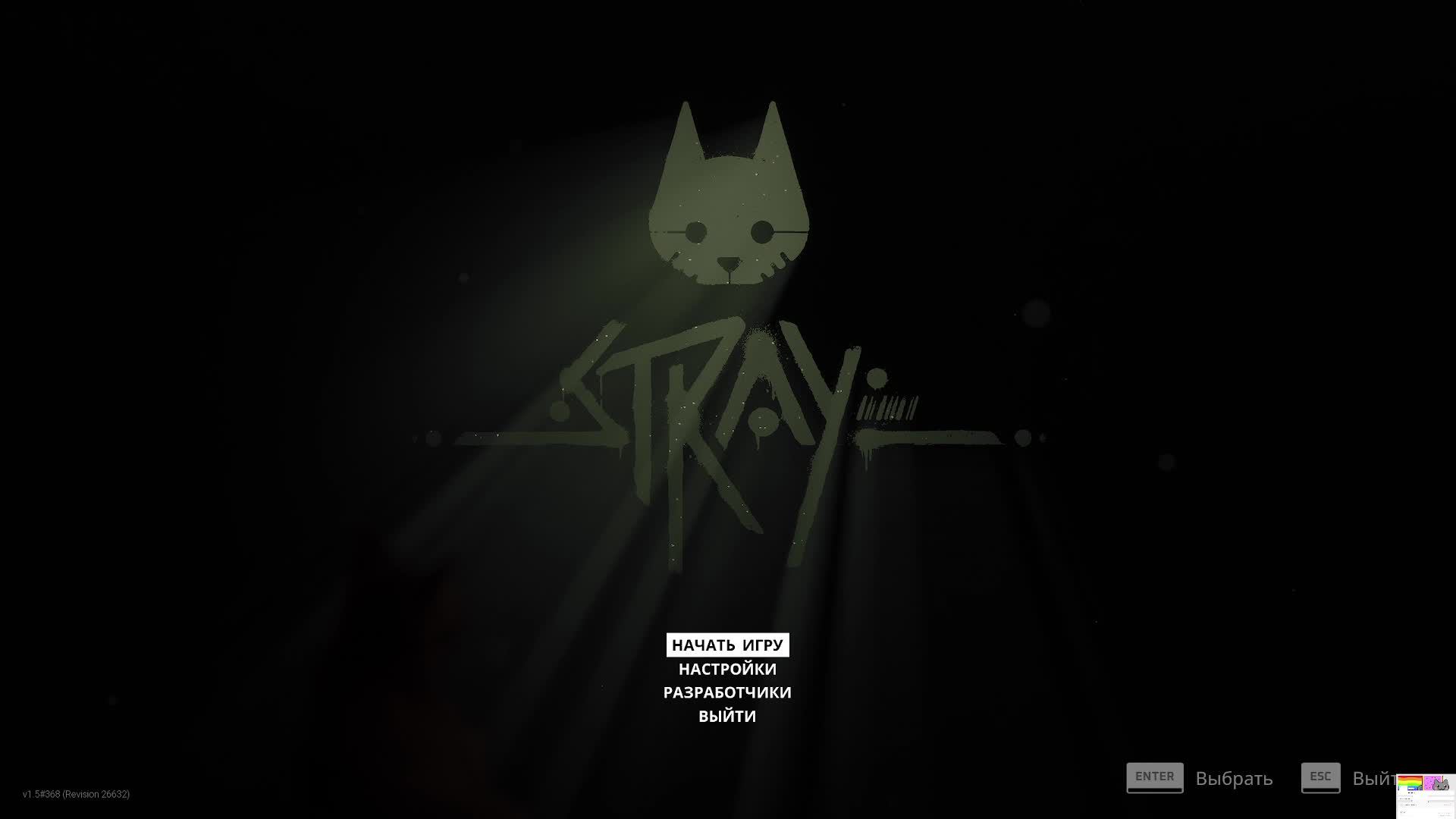 Stray