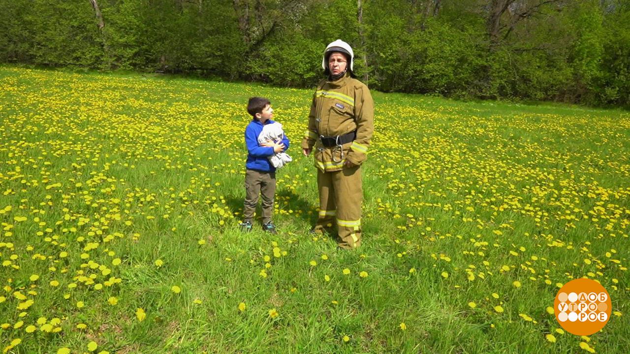 Пожар в лесу: спасаем ребенка и себя. Доброе утро. Фрагмент выпуска от 07.08.2024