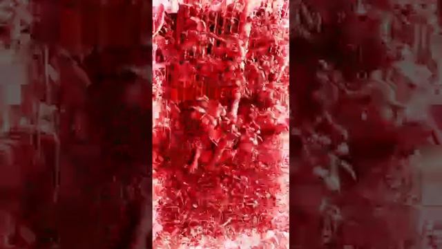 Паркур на даче у бабушки!