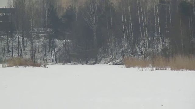 Тренировка К1. 29.01.2015. Лед. Дмитрий Фролов 3