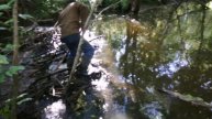 Плотина бобров // опять спускаем воду