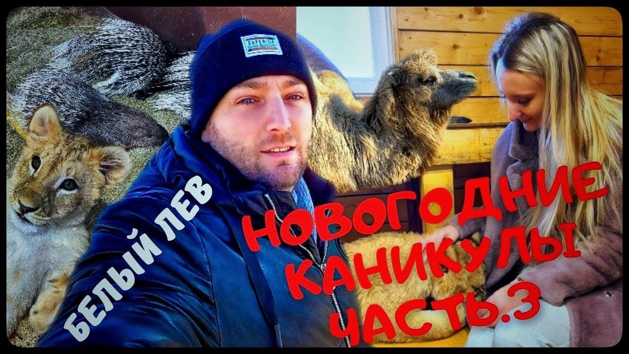 Новогодние каникулы ч.3 белый лев