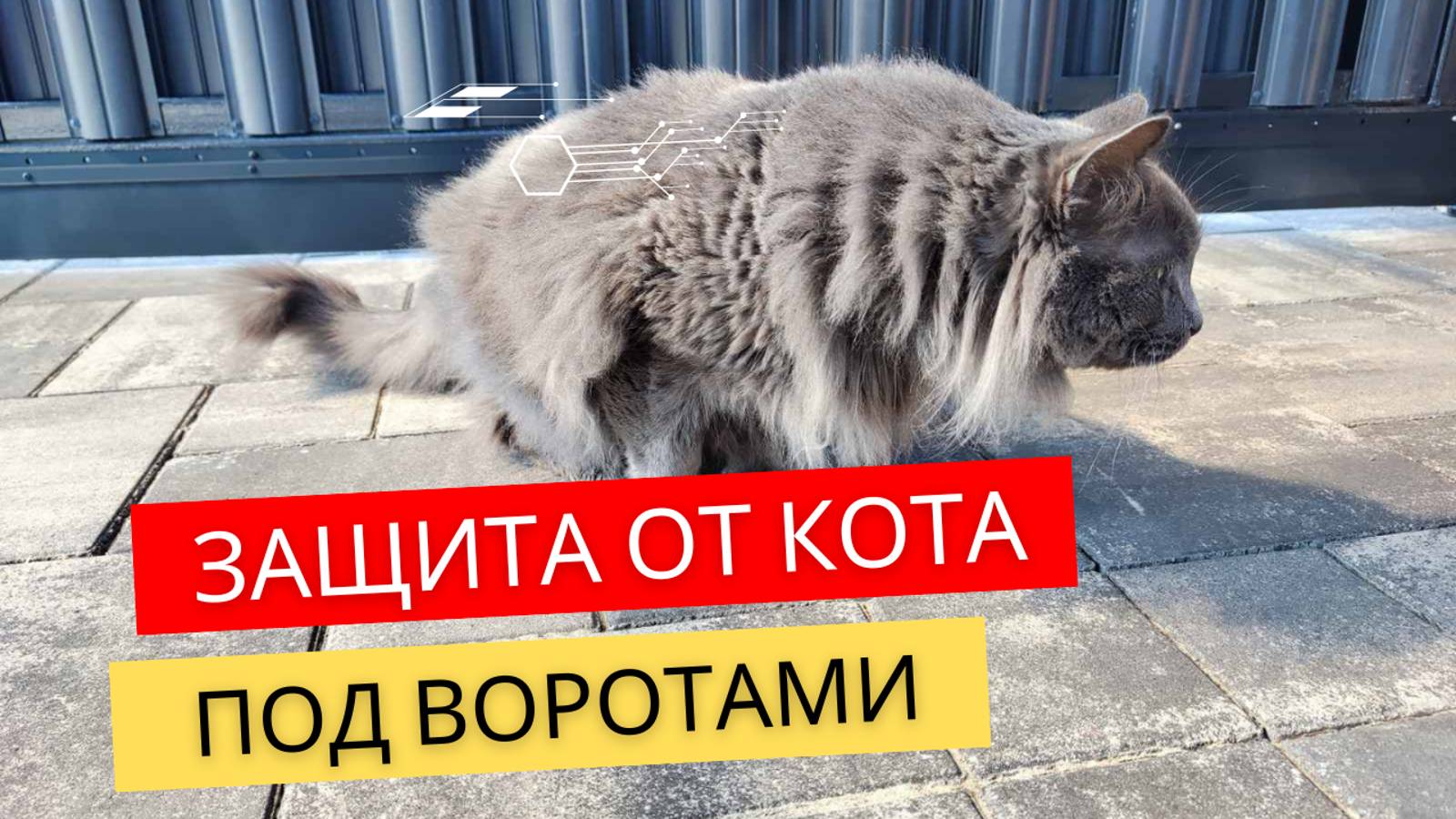 Защита от кота под воротами