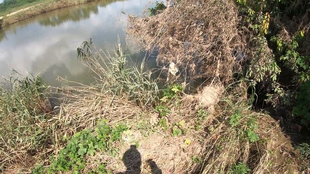 Рыба кишит и в конце бонус, рыбалка на рогатку