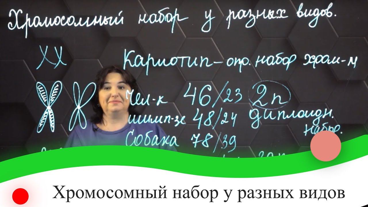 Хромосомный набор у разных видов. 7 класс.