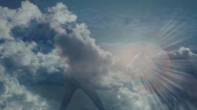 Красивая флейта.avi