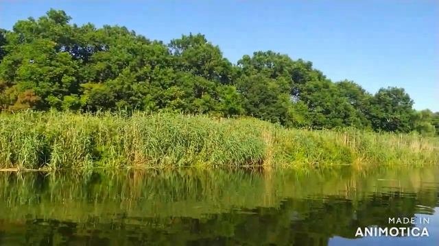 река Воронеж. На лодке с мотором. Прекрасная альтернатива отдыху на море!! 12.07.20