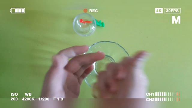 💎Slimes/💎слаймы/💎изменения лизунов простым способом