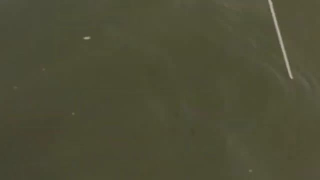 How To Bait A Circle Hook With a Sandworm To Catch Striped Bass Consistently