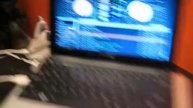 dell mini serato backup