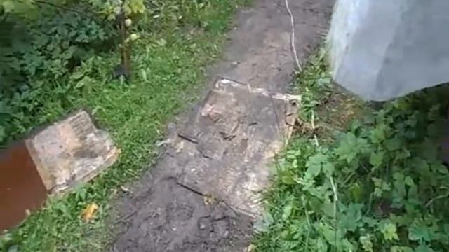 Постройка мастерской. Начало.